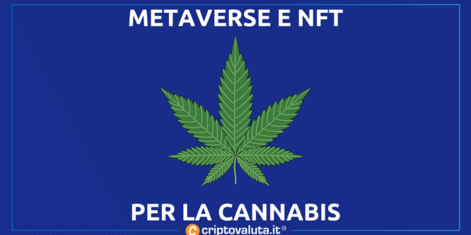 NFT METAVERSE CANNABIS