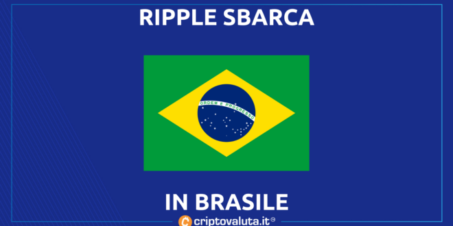 RIPPLE BRASILE