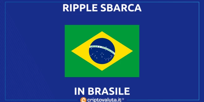 RIPPLE BRASILE