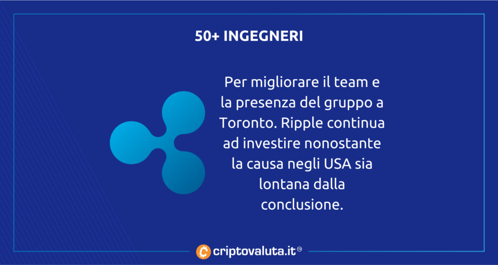 50+ ingegneri per Ripple - analisi