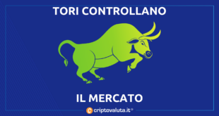 TORI BULL MERCATO