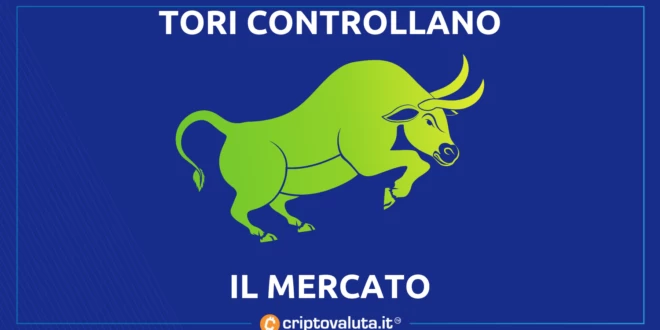 TORI BULL MERCATO