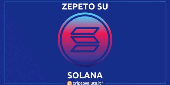SOLANA ZAPATO