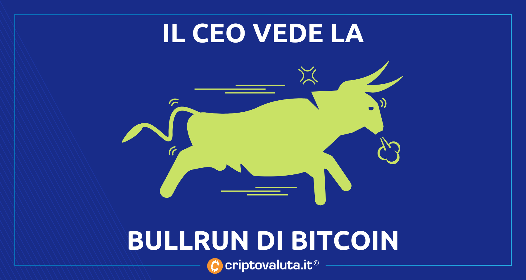 Bitcoin: bullrun in arrivo! | Il CEO è sicuro.. ora volerà!