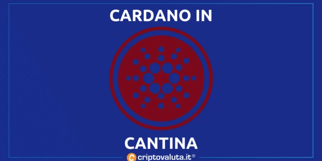 CARDANO SPINGE IN CANTINA