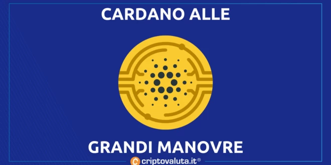 CARDANO VASIL