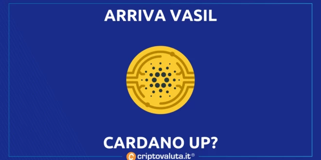 CARDANO VASIL