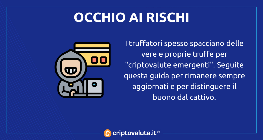 Occhio ai rischi - analisi di Criptovaluta.it sulle emergenti