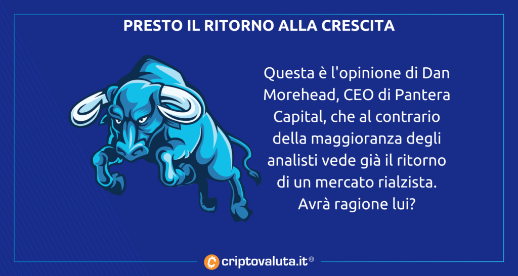 Bitcoin opinione pantera capital