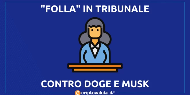 TRIBUNALE DOGE MUSK