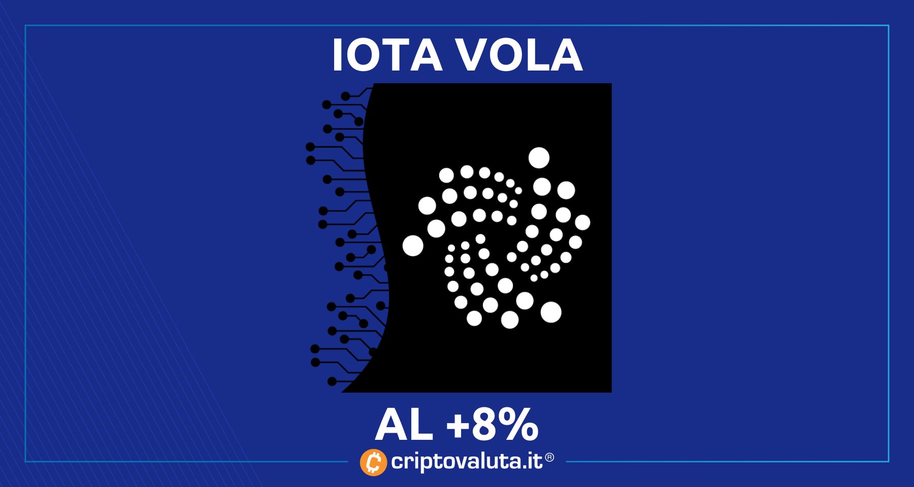 IOTA vola al +8% forte dell'annuncio di Shimmer | Tutto pronto per il 28, quando...
