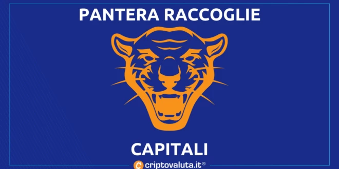 PANTERA RACCOGLIE