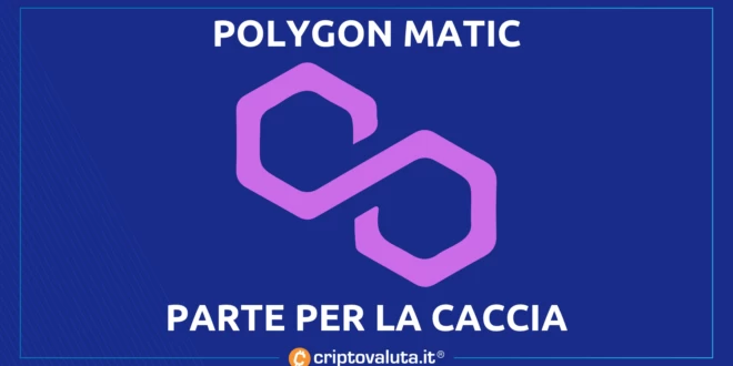 POLYGON MATIC INVESTE