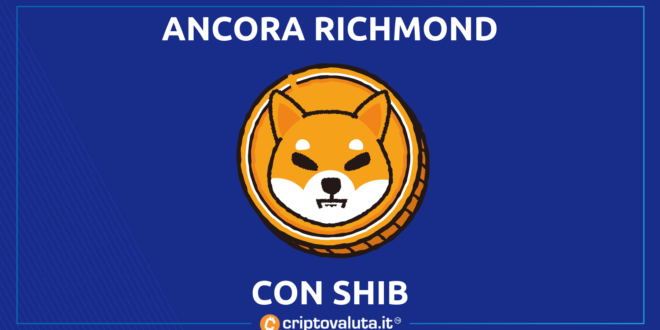 RICHMOND SHIBA