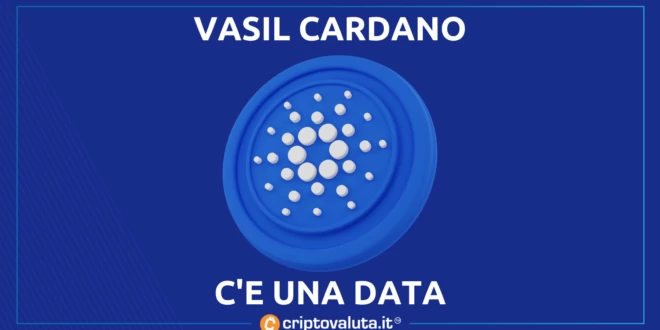 DATA PER VASIL