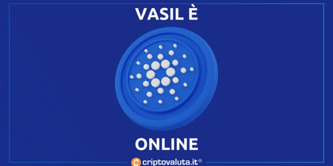 VASIL SU CARDANO