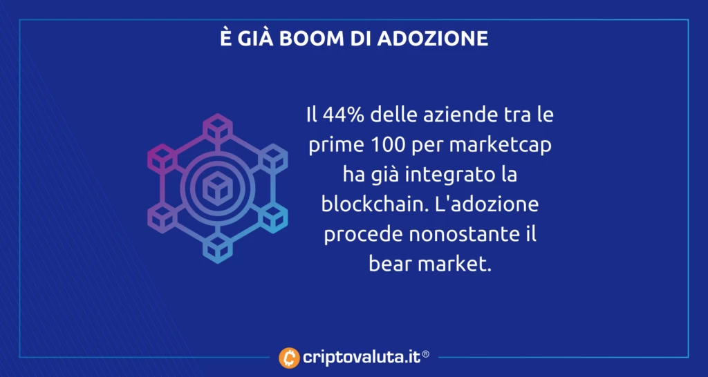 BOOM ADOZIONE 44% - ANALISI