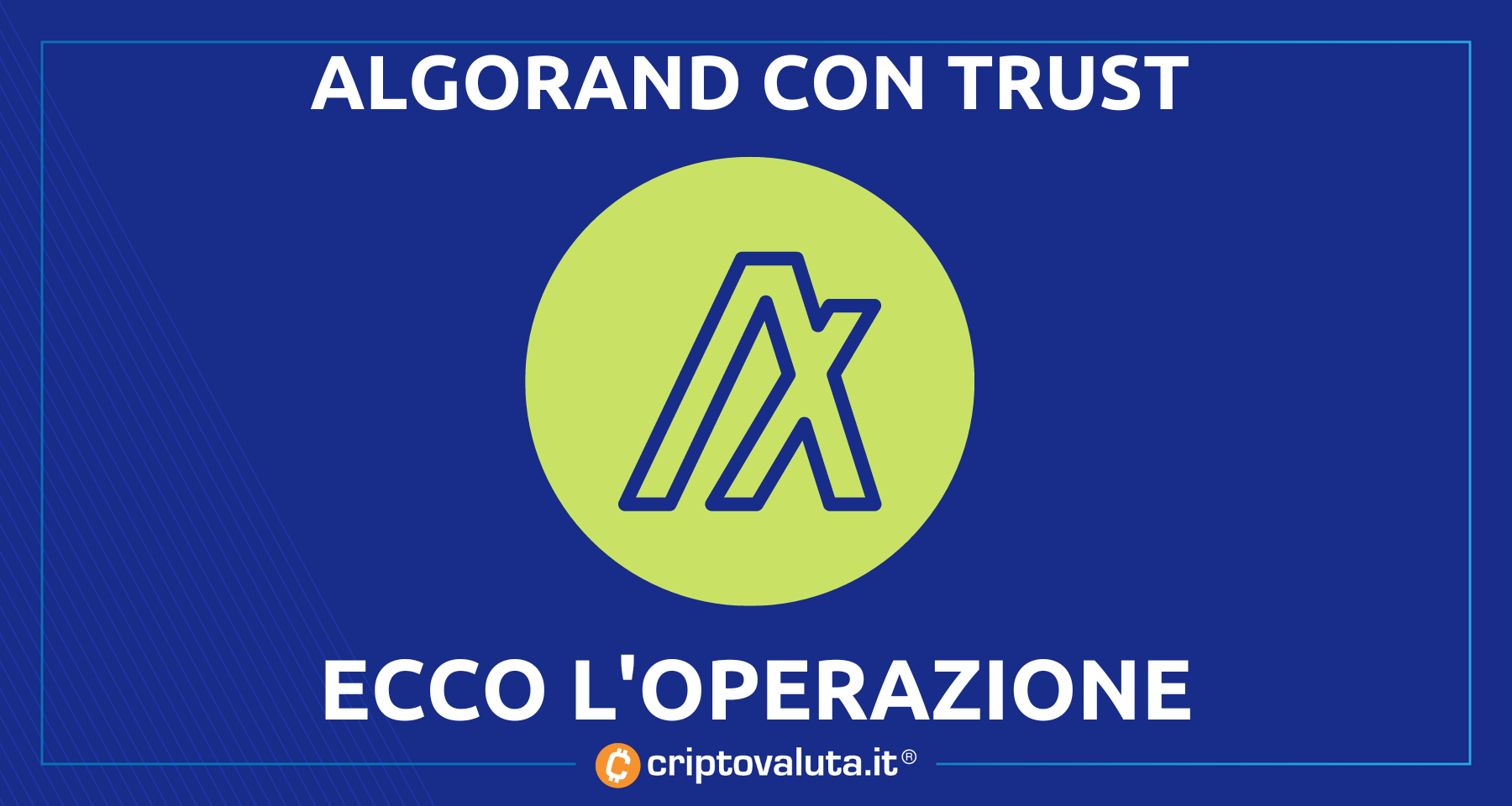 Algorand: TRUST, graphic novel e NFT! | Tutto sul progetto del gruppo