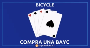 BAYC BICYCLE