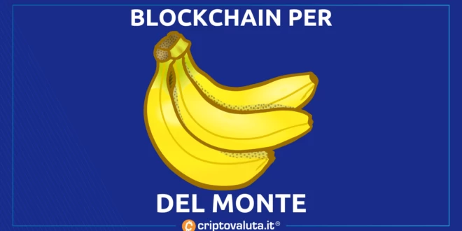 LA BLOCKCHAIN DELMONTE