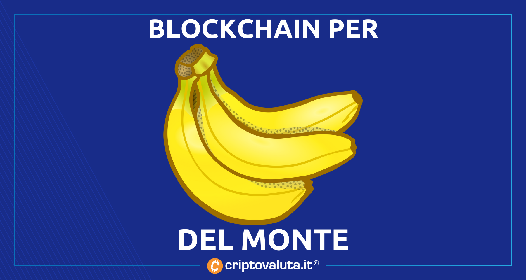 Del Monte ha detto sì: blockchain per la tracciabilità! | L'analisi di cosa accadrà