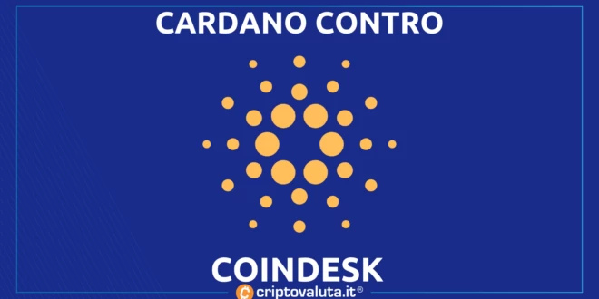 CARDANO CONTRO COINDESK
