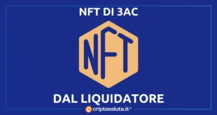 3AC punta sui NFT