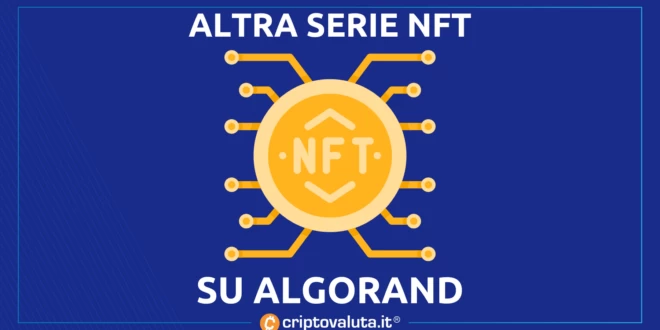 ALGORAND NFT BONACETO