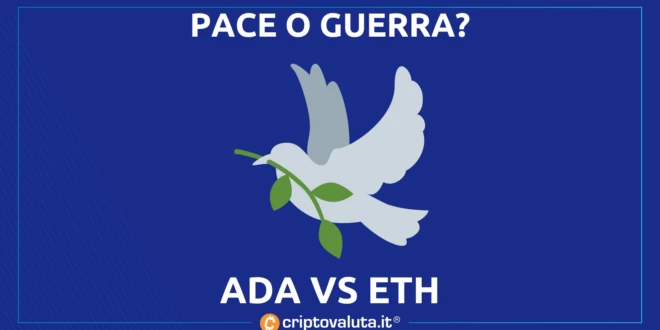 CARDANO PACE