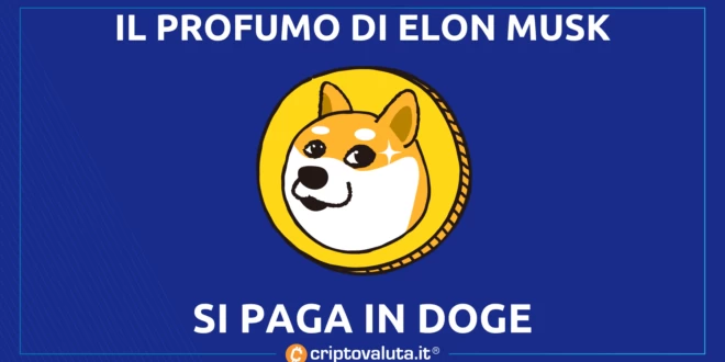PROFUMO MUSK DOGE