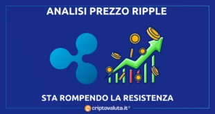 Ripple - xrp