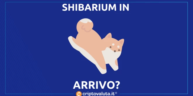 SHIBARIUM