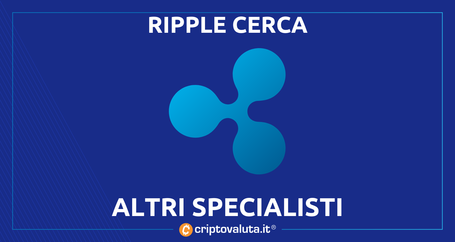 Ripple: il Bear Market non fa paura! | Continuano le assunzioni...