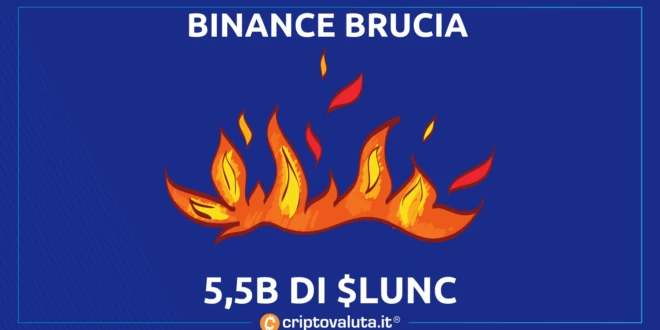 Terra Luna BInance Burn