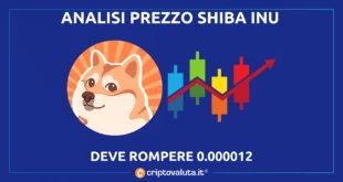 SHIBA INU