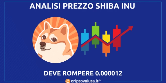 SHIBA INU