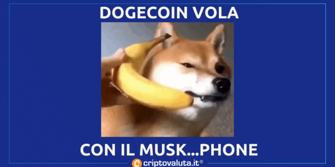 ELON MUSK PHONE DOGECOIN