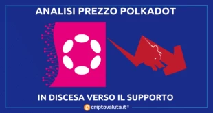 POLKADOT (DOT)