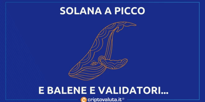 Solana a picco - balene via