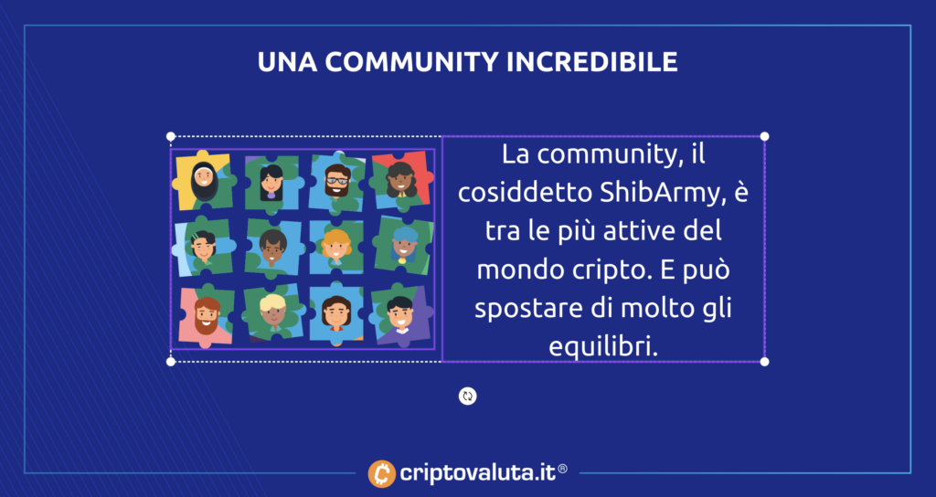 Community shiba inu coin - analisi