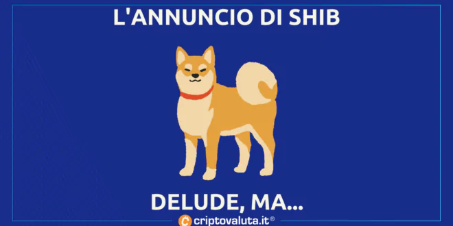 ANNUNCIO SHIB DELUDE