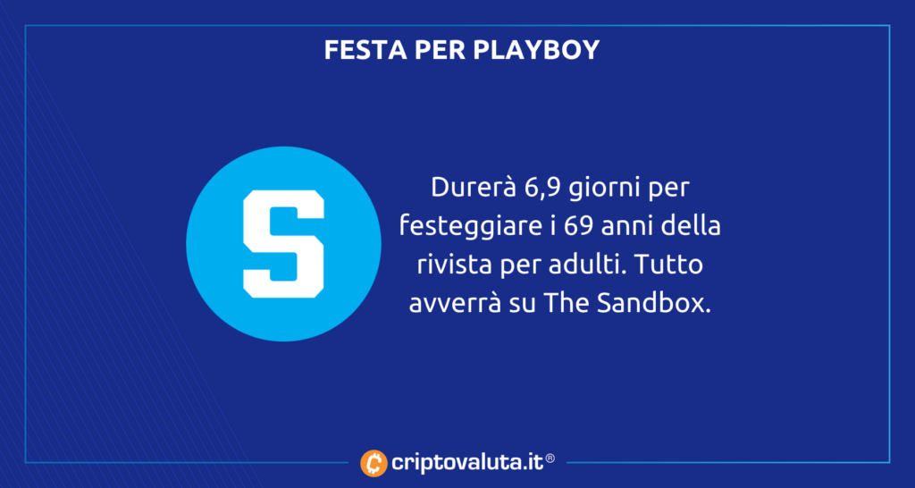 The Sandbox Playboy