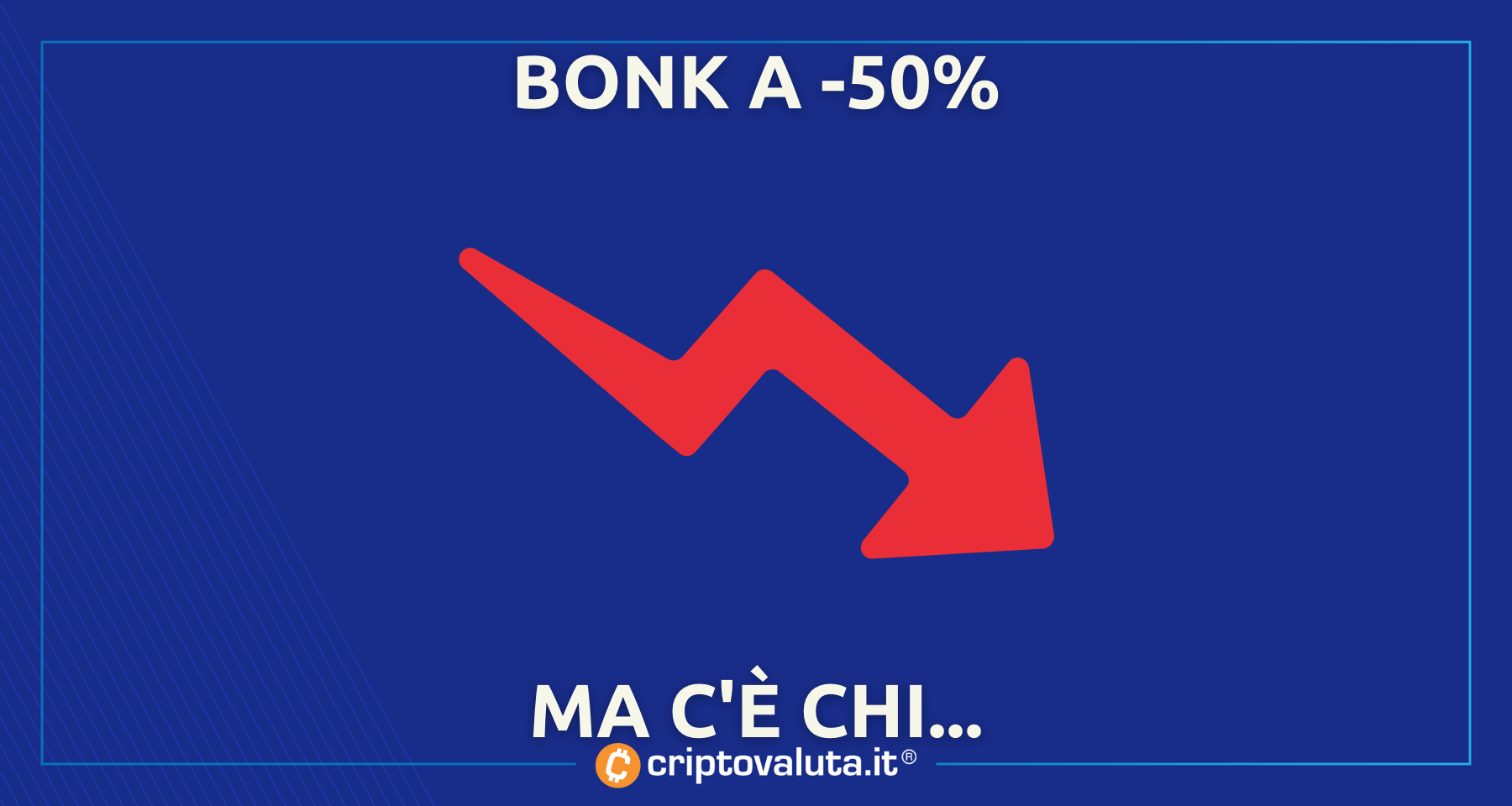 Bonk: crypto a -50% dai massimi | Molti ancora investono perché..