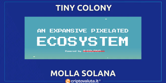 SOLANA TINY