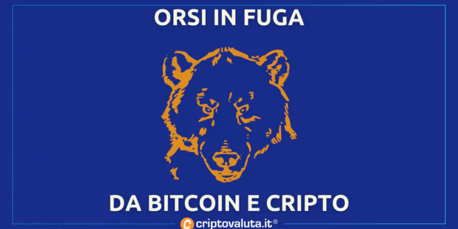 ORSI IN FUGA BITCOIN CRIPTO