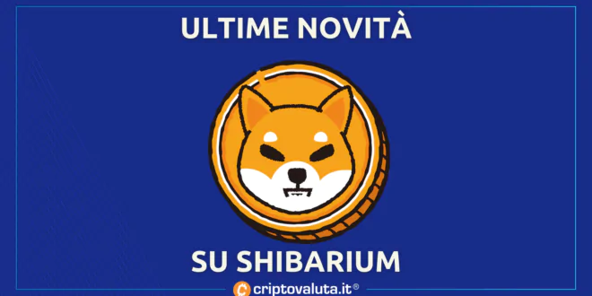 SHIBARIUM ONLINE