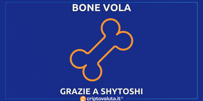 BONE SHIBARIUM
