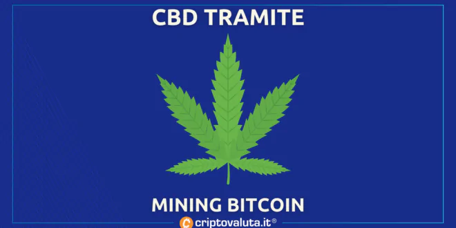 CBD CANNABIS BITCOIN