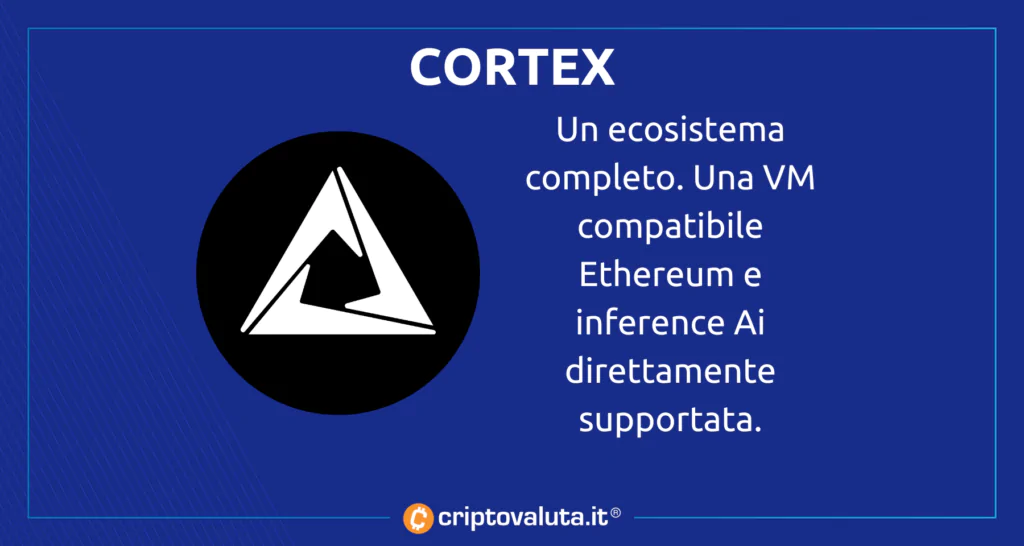 Cortex RIASSUNTO