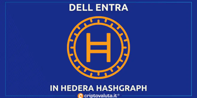 HEDERA HASHGRAPH DELL